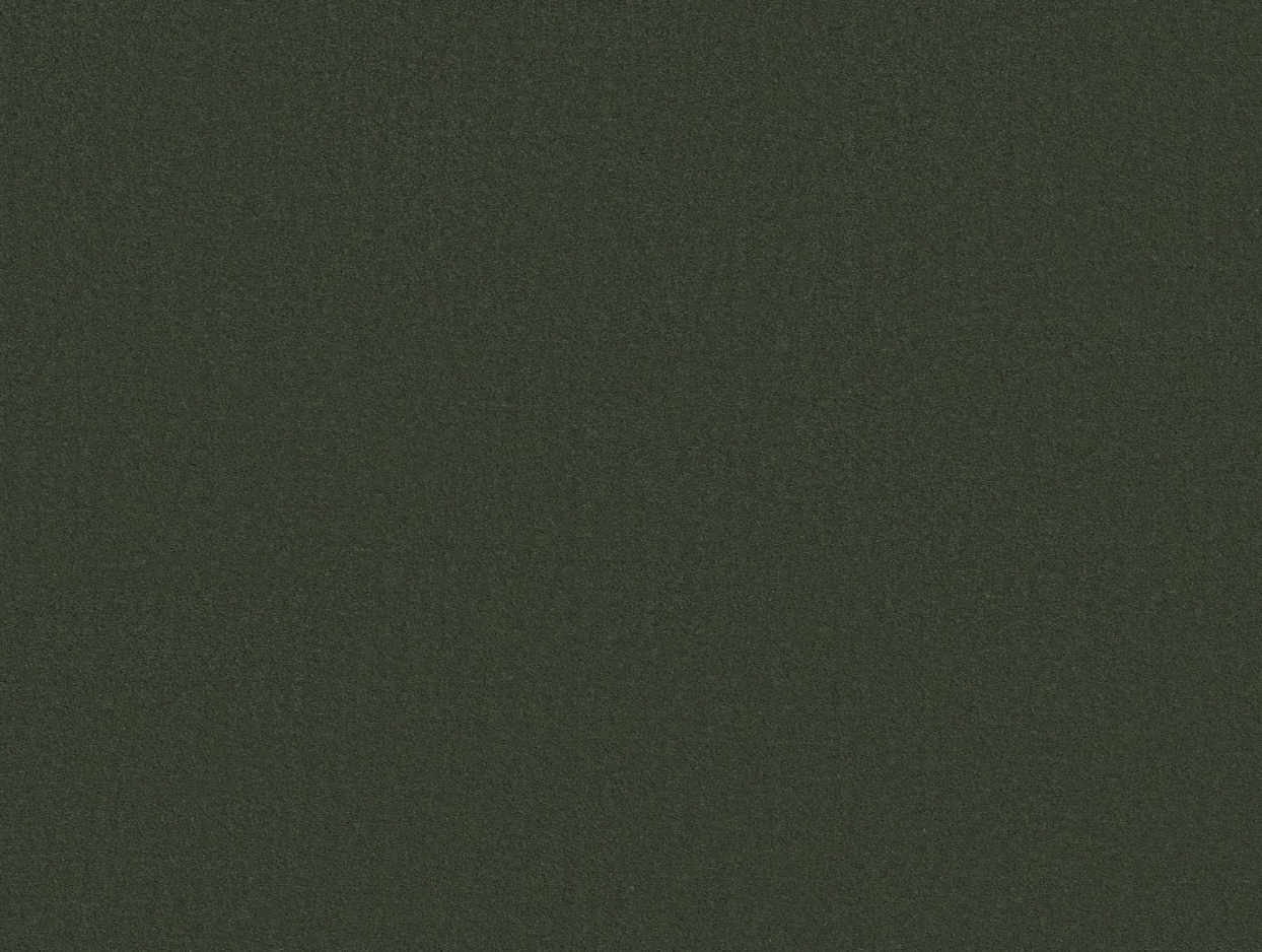 Close up of dark green carpet