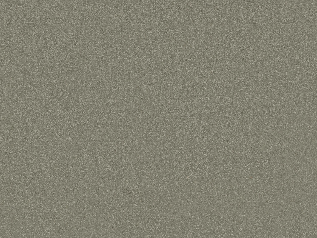 Close up of sage colored carpet